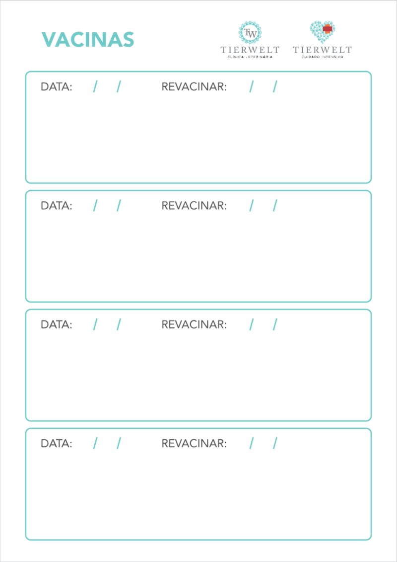 CADERNO DE VACINA - separado por pagina V2 — page 14
