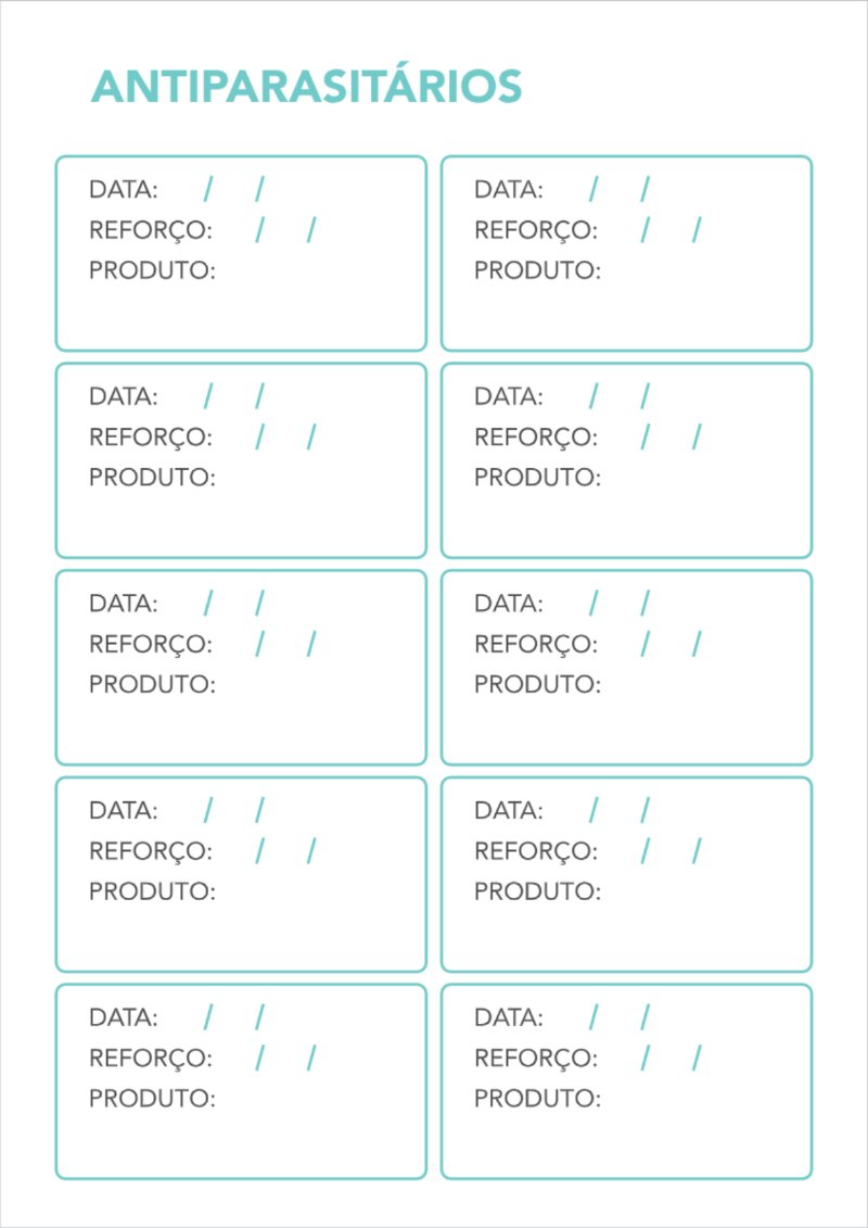 CADERNO DE VACINA - separado por pagina V2 — page 17