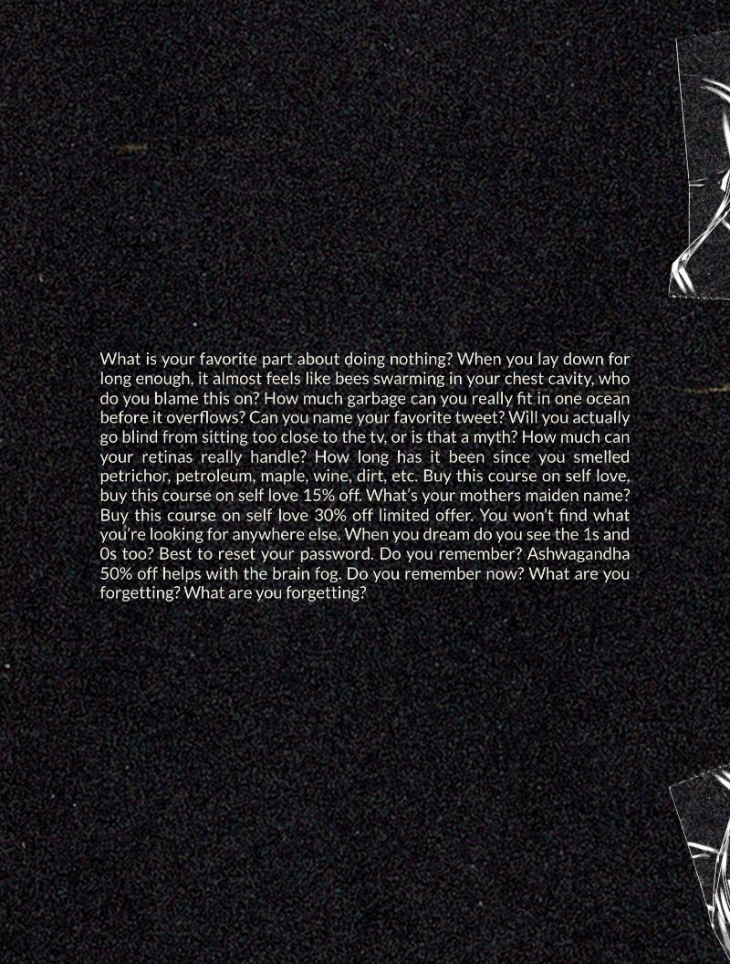Vienna Vienna - Musings Vol 2 — page 2