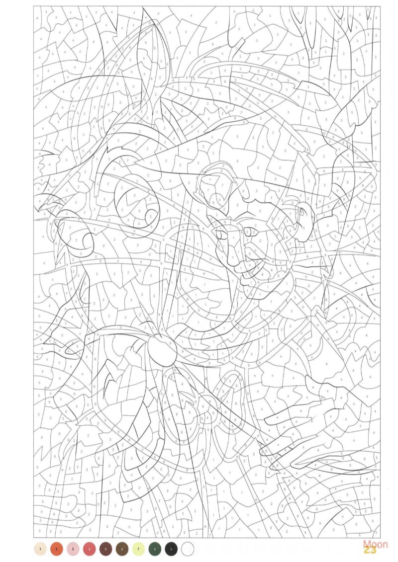 Retratos — page 24