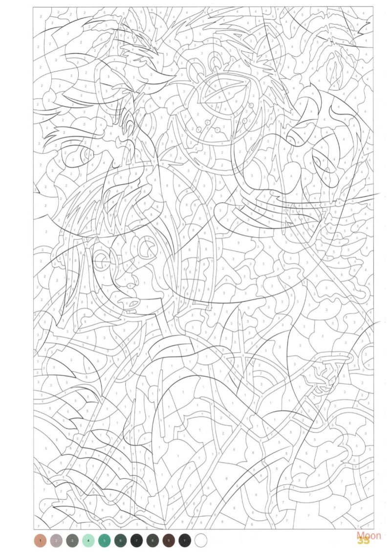 Retratos — page 36