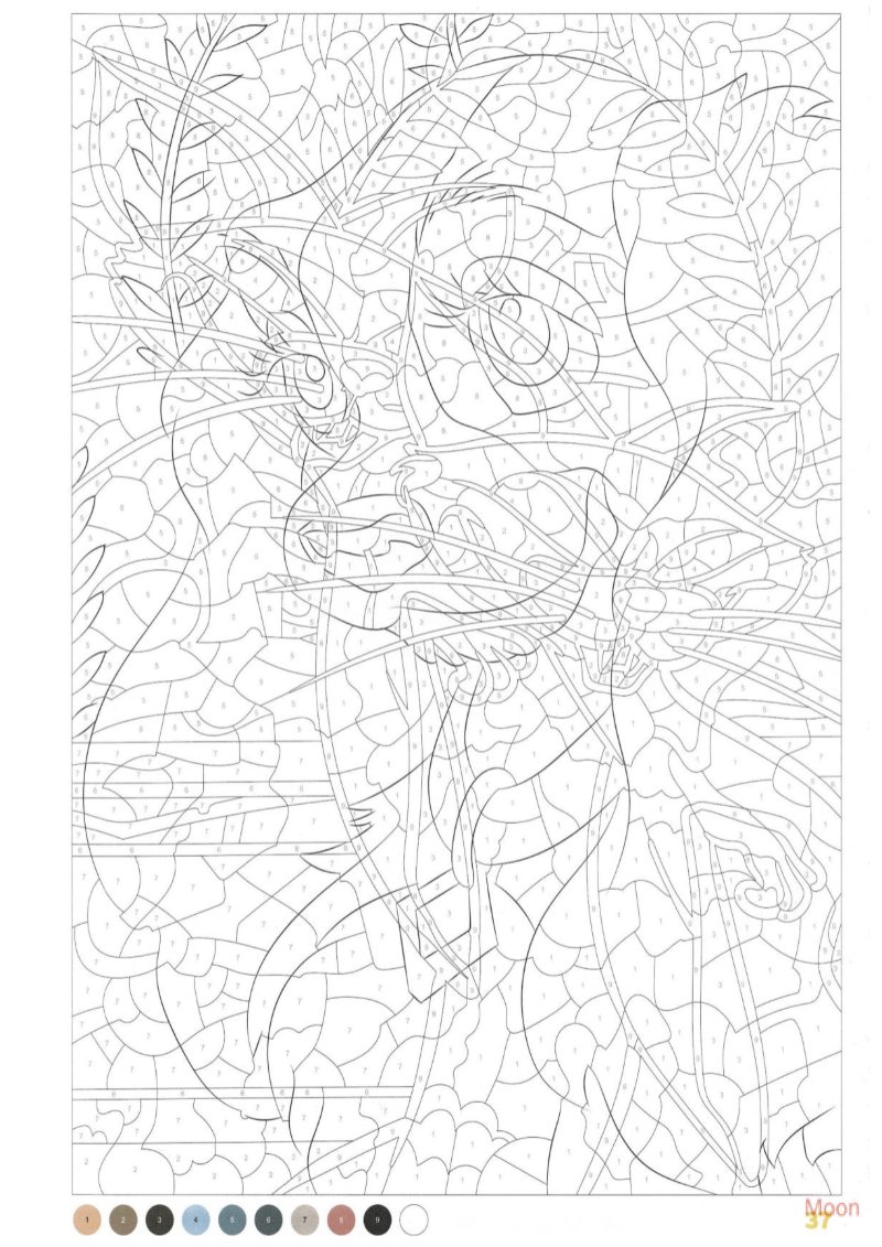 Retratos — page 38