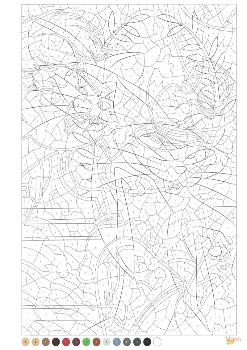 Retratos — page 40