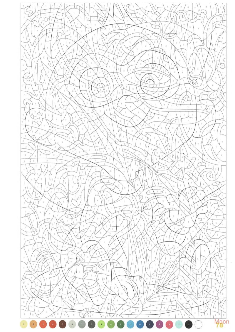 Retratos — page 79