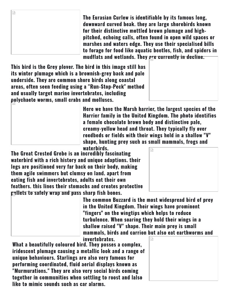 Prints magazine — page 11