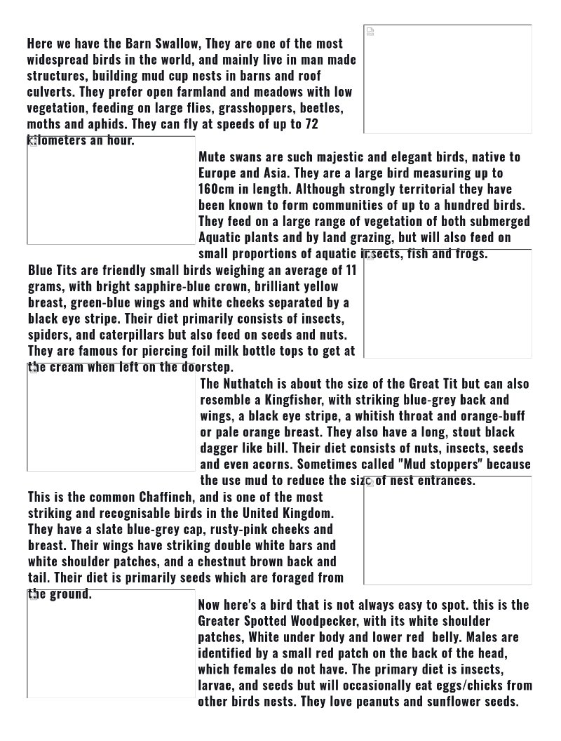 Prints magazine — page 12