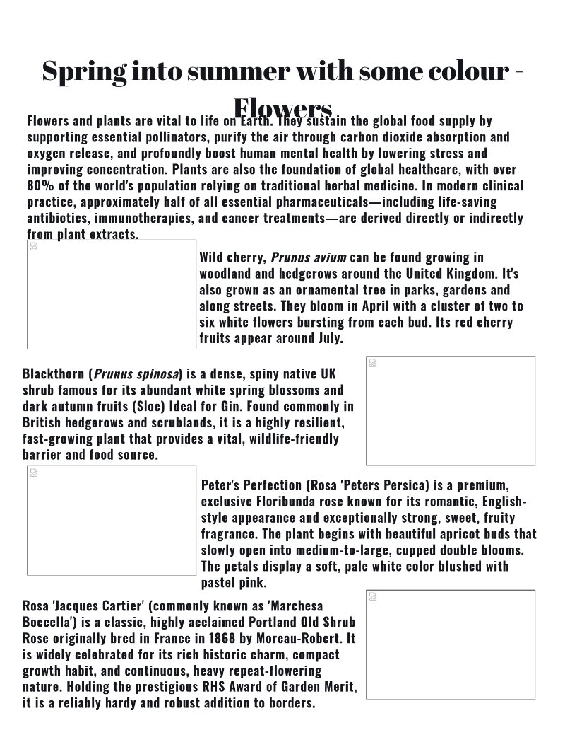 Prints magazine — page 23