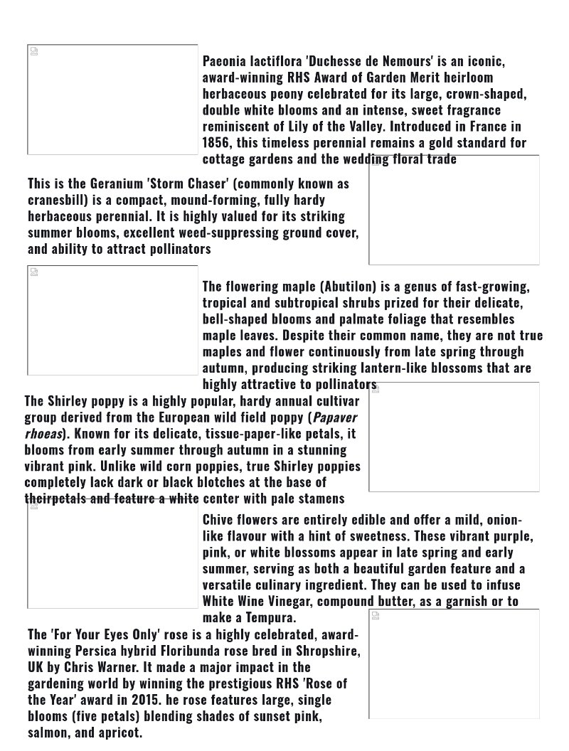 Prints magazine — page 24