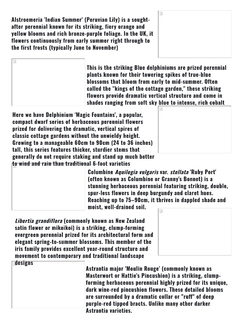 Prints magazine — page 25