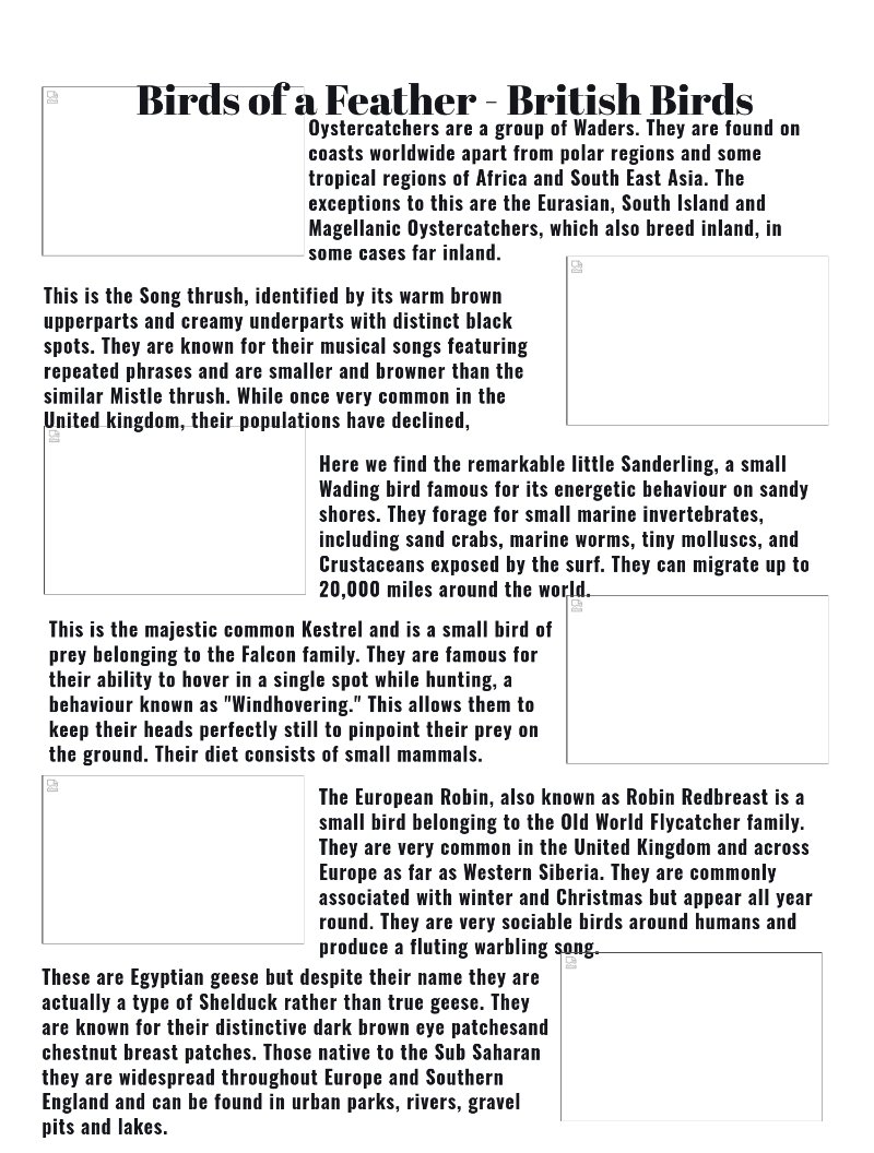 Prints magazine — page 9