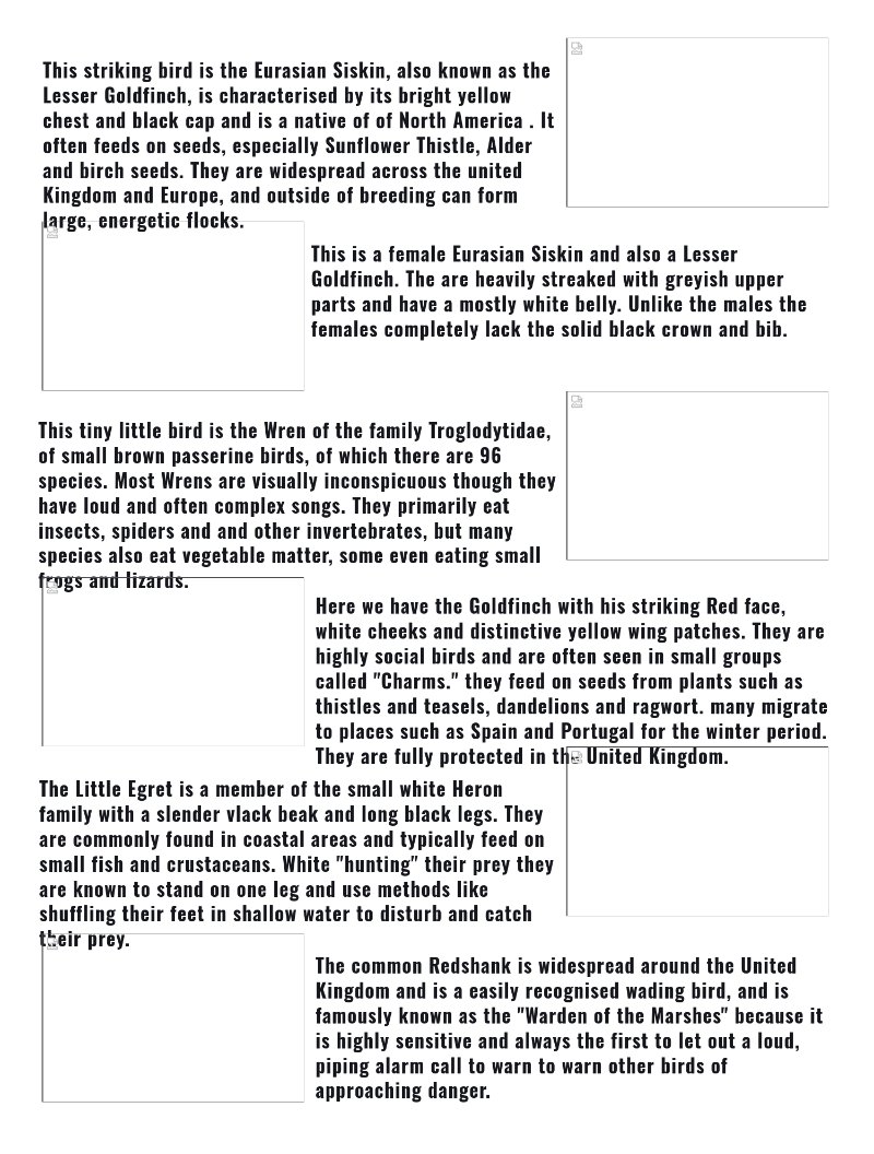Prints magazine — page 10