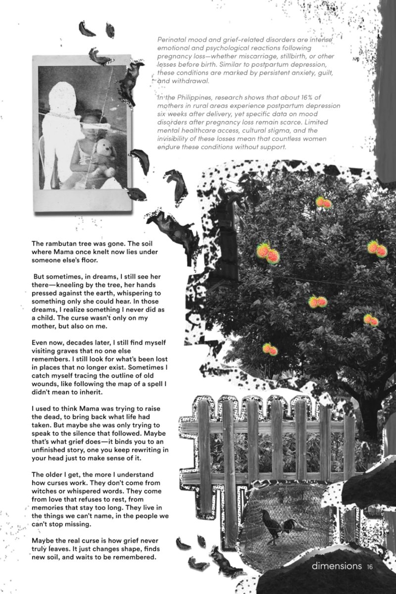Dimensions (Magazine) - December 2024 - October 2025 Volume LXXXVI No. 1 — page 23