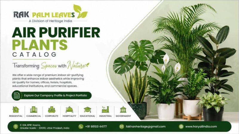 CATALOUGE OF AIR PURIFIER PLANTS — page 1