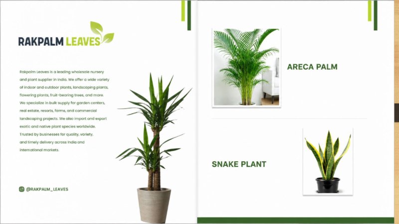 CATALOUGE OF AIR PURIFIER PLANTS — page 2