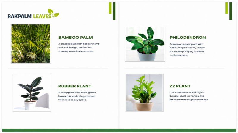 CATALOUGE OF AIR PURIFIER PLANTS — page 4