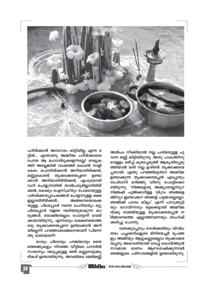 Onappathippu-2025 — page 28