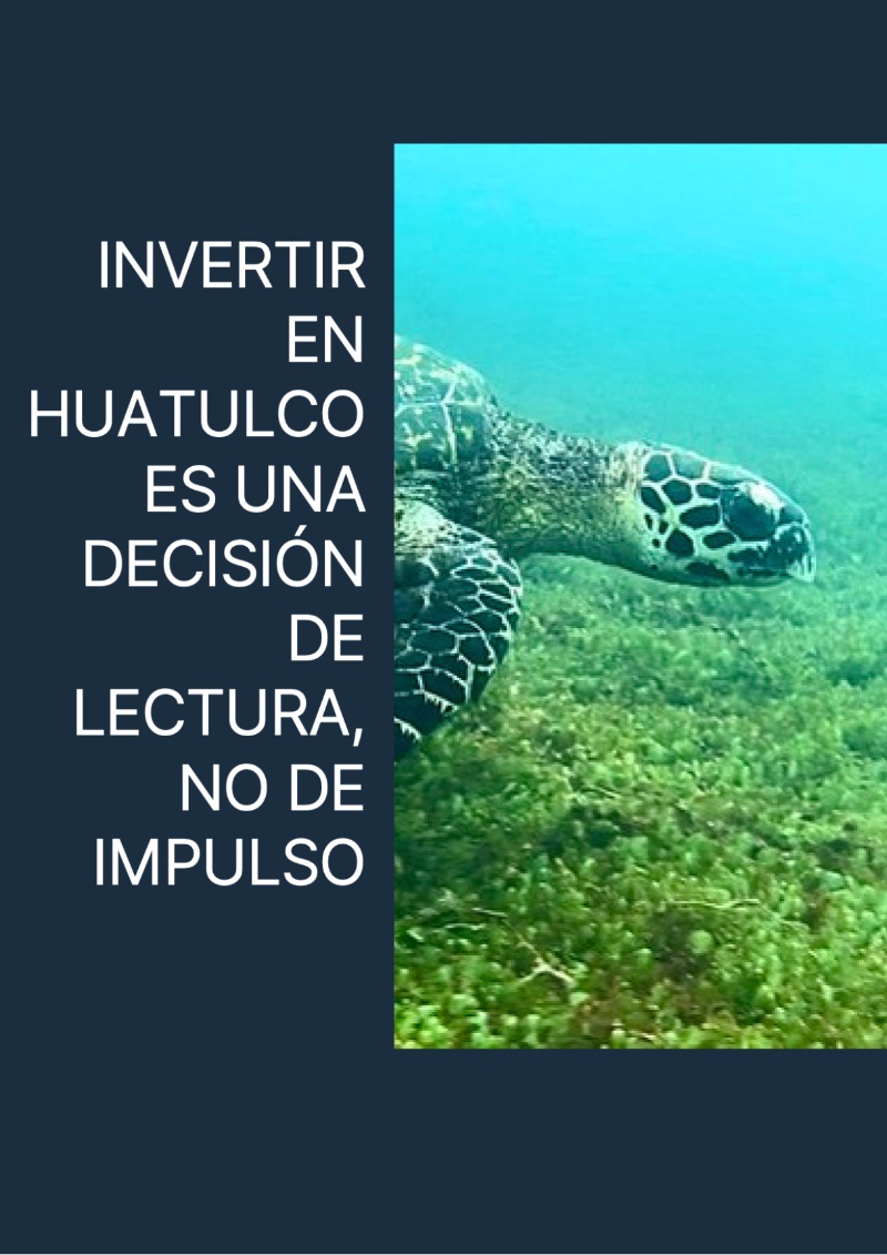 Inversionista Mexicano 2026 — page 29