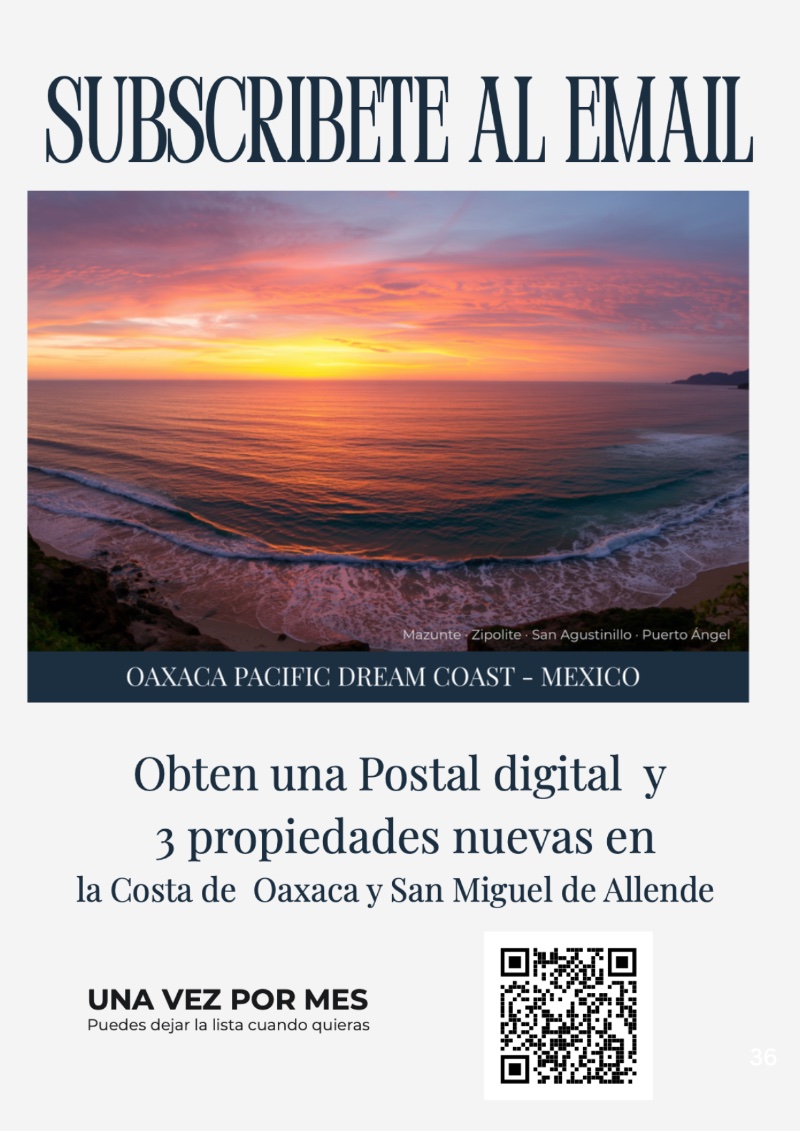 Inversionista Mexicano 2026 — page 36