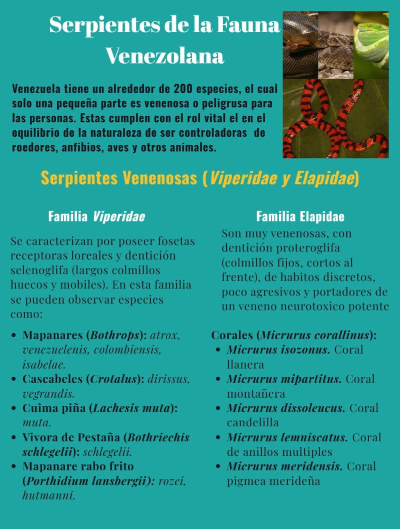 FaunaVet — page 3