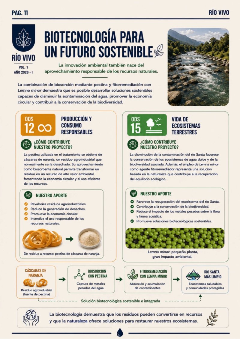 REVISTA_RSU_RIOVIVO — page 11