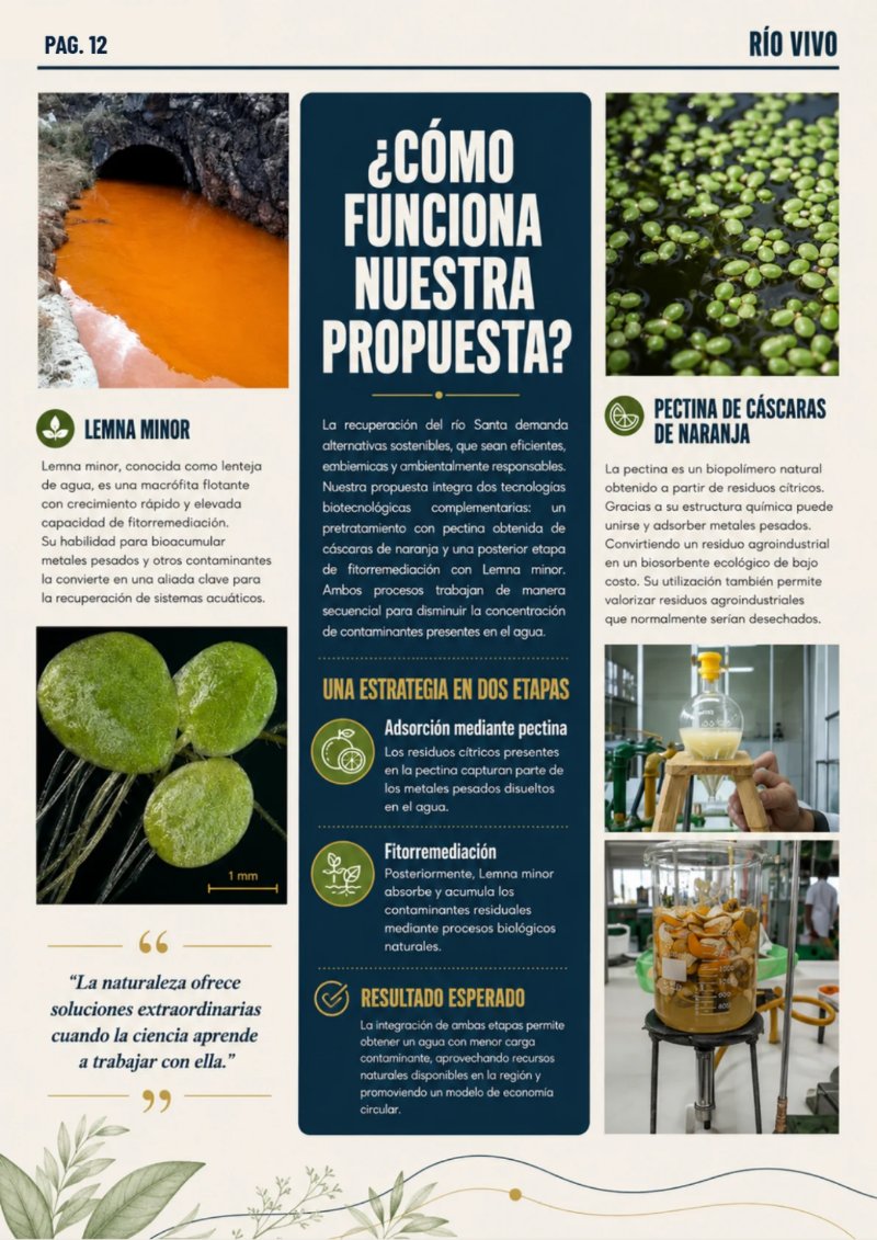 REVISTA_RSU_RIOVIVO — page 12