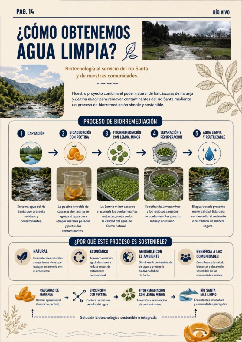 REVISTA_RSU_RIOVIVO — page 14