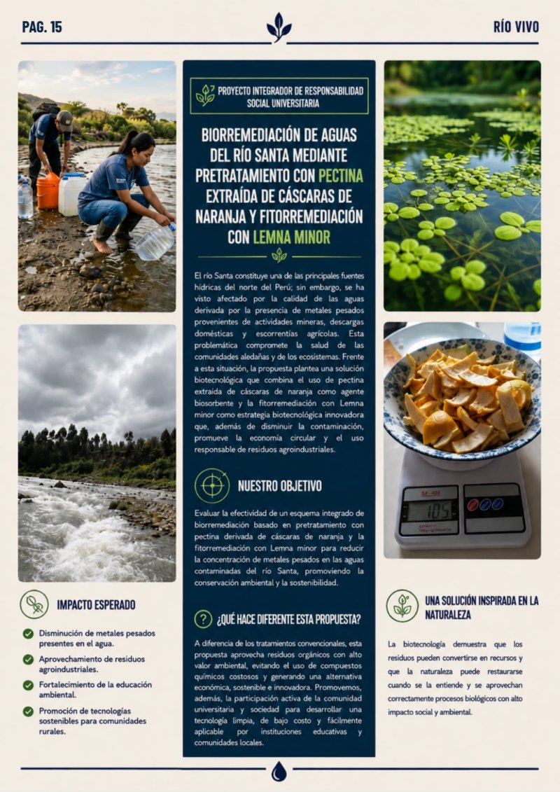 REVISTA_RSU_RIOVIVO — page 15