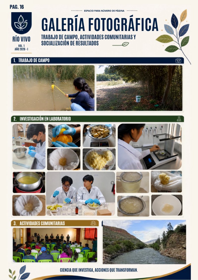 REVISTA_RSU_RIOVIVO — page 16