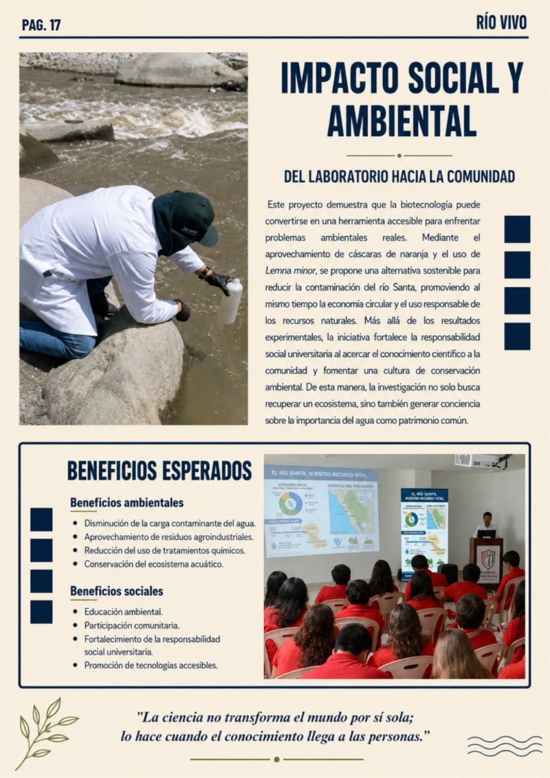 REVISTA_RSU_RIOVIVO — page 17