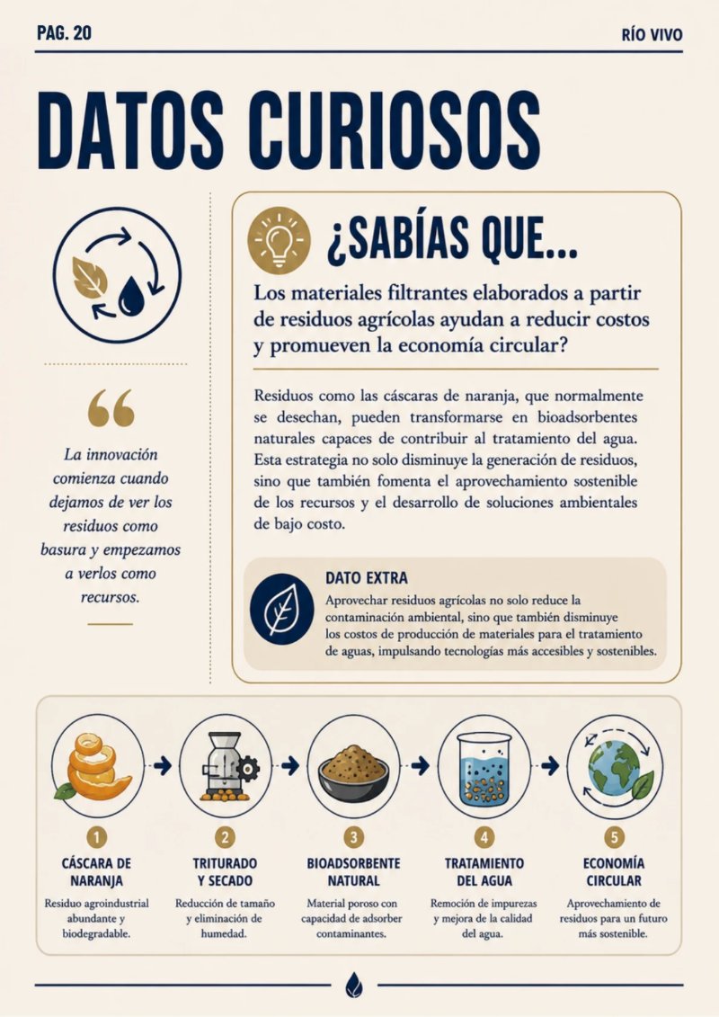 REVISTA_RSU_RIOVIVO — page 20