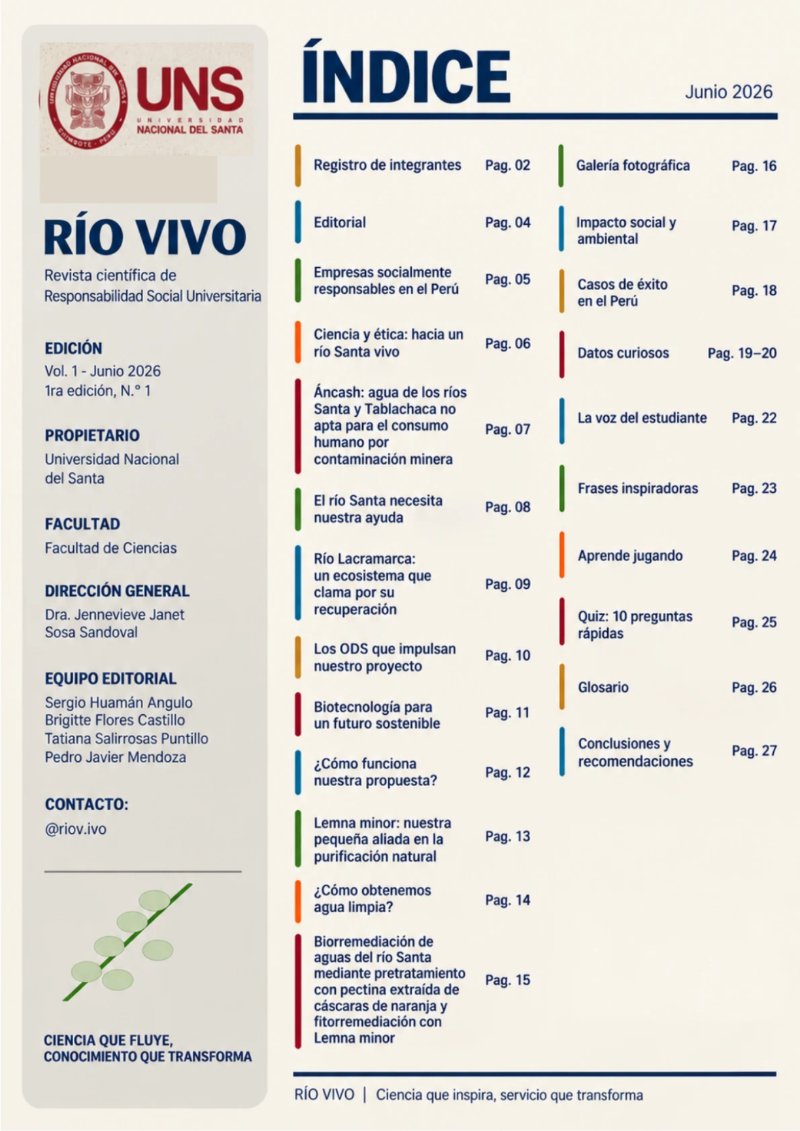 REVISTA_RSU_RIOVIVO — page 3