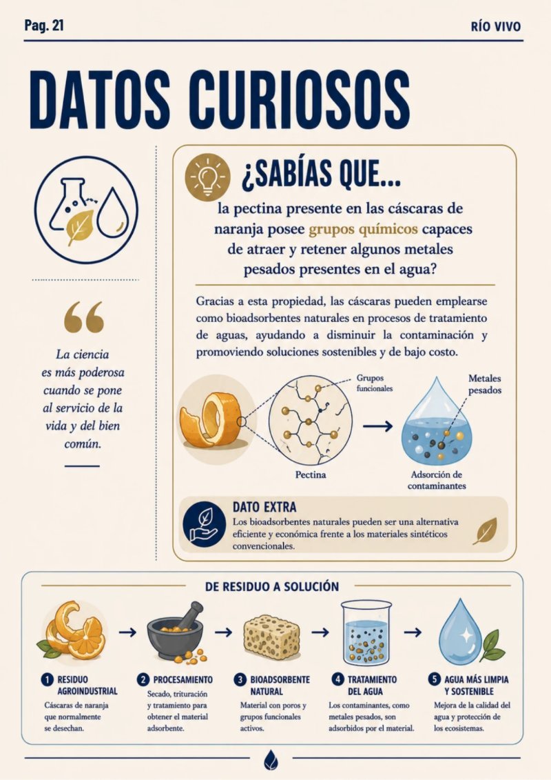REVISTA_RSU_RIOVIVO — page 21