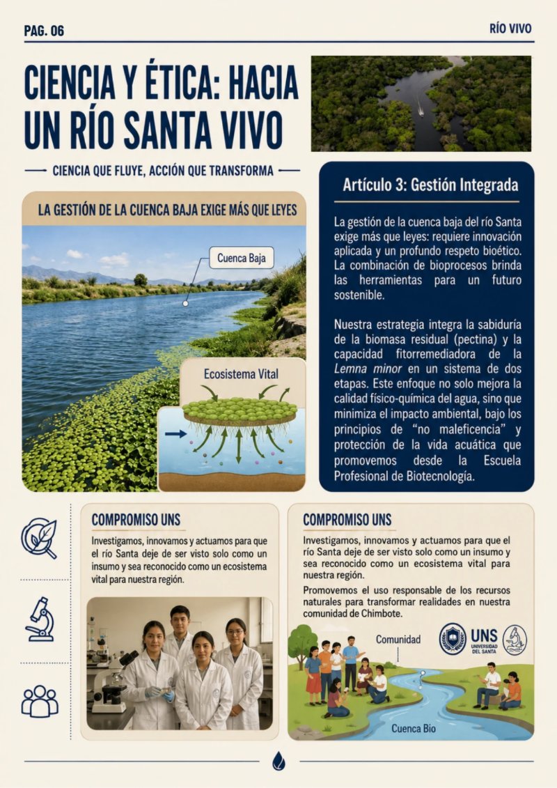 REVISTA_RSU_RIOVIVO — page 6