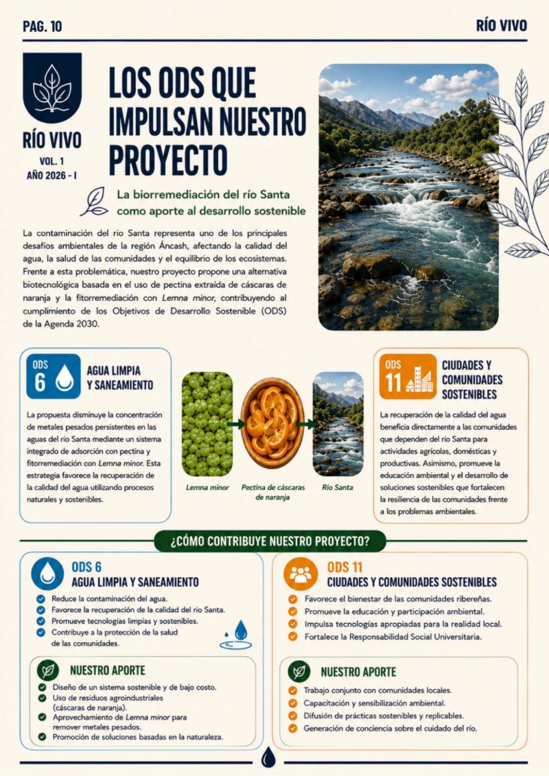 REVISTA_RSU_RIOVIVO — page 10