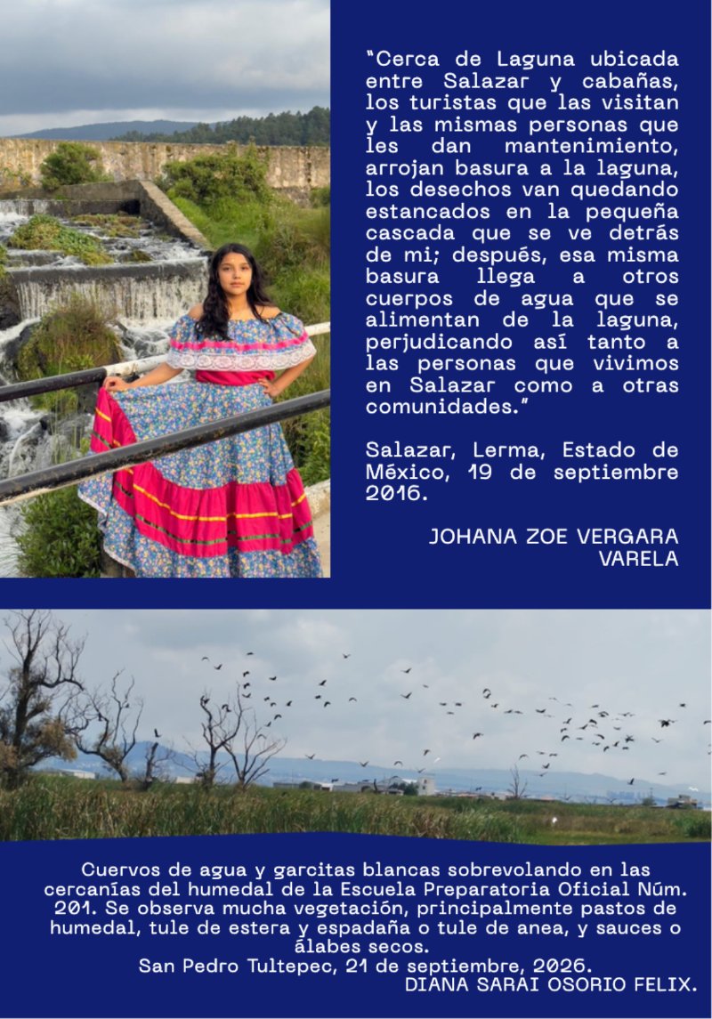 Revista_septiembre — page 16