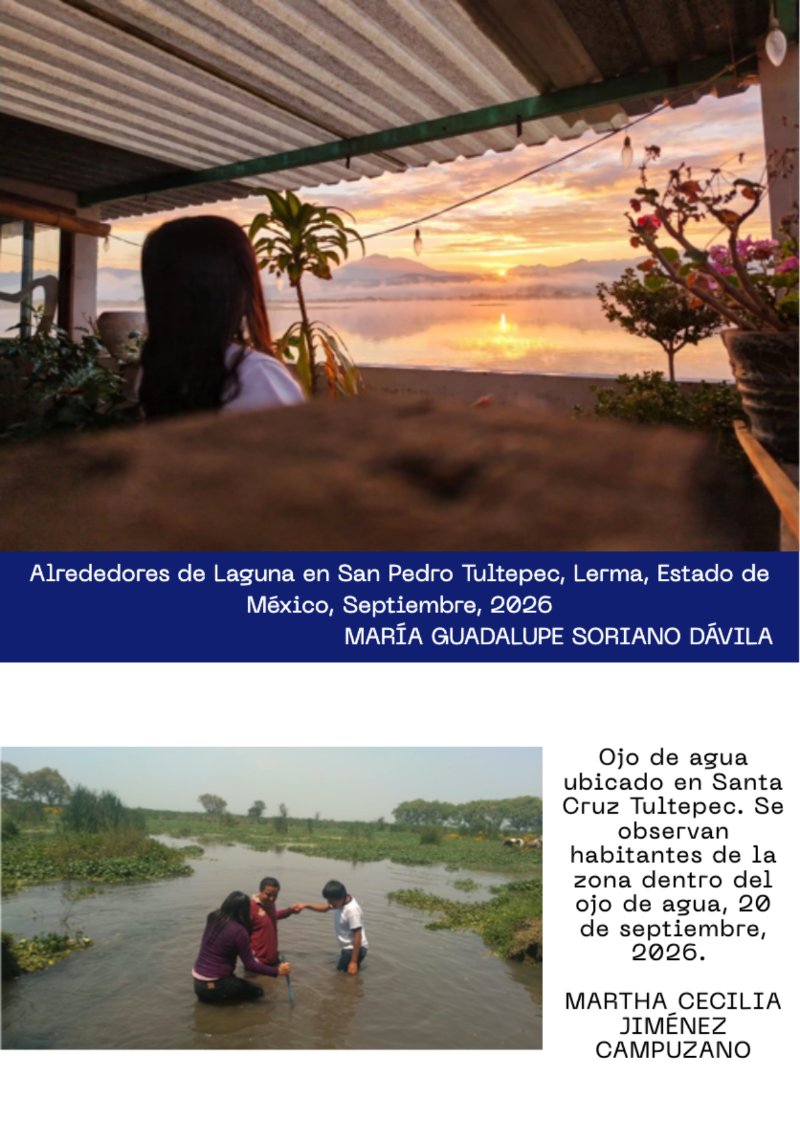 Revista_septiembre — page 17