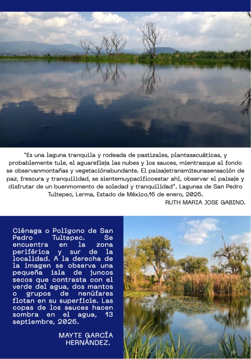 Revista_septiembre — page 19