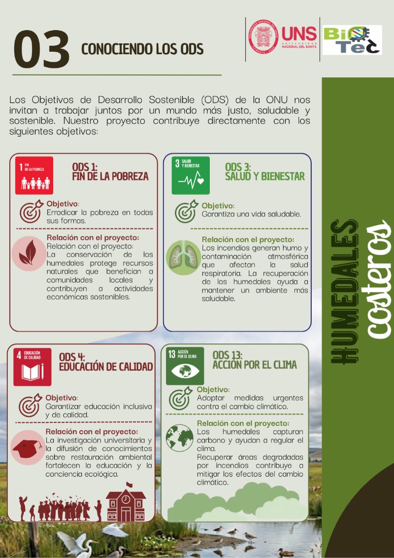 Humedales Costeros — page 10