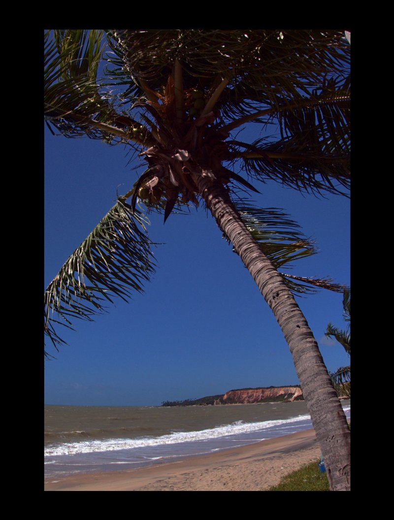 JOÃO PESSOA CITY — page 13