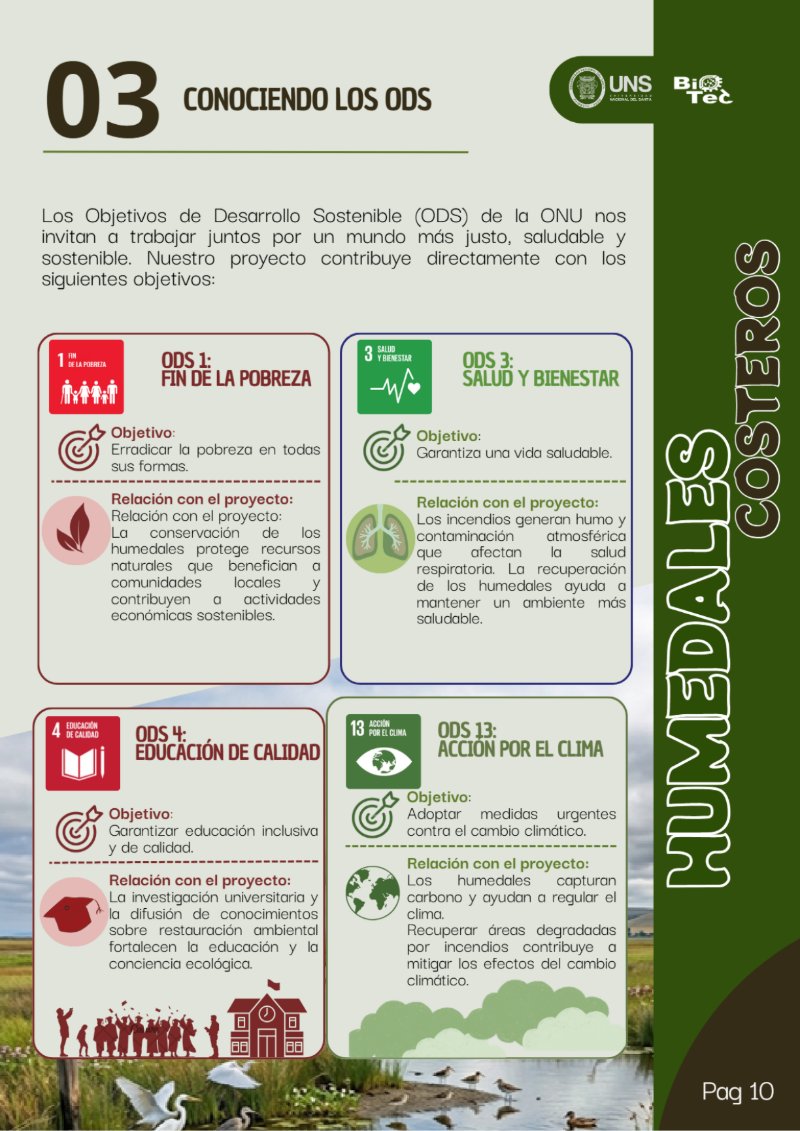 REVISTA DEL LOS HUMEDALES — page 12