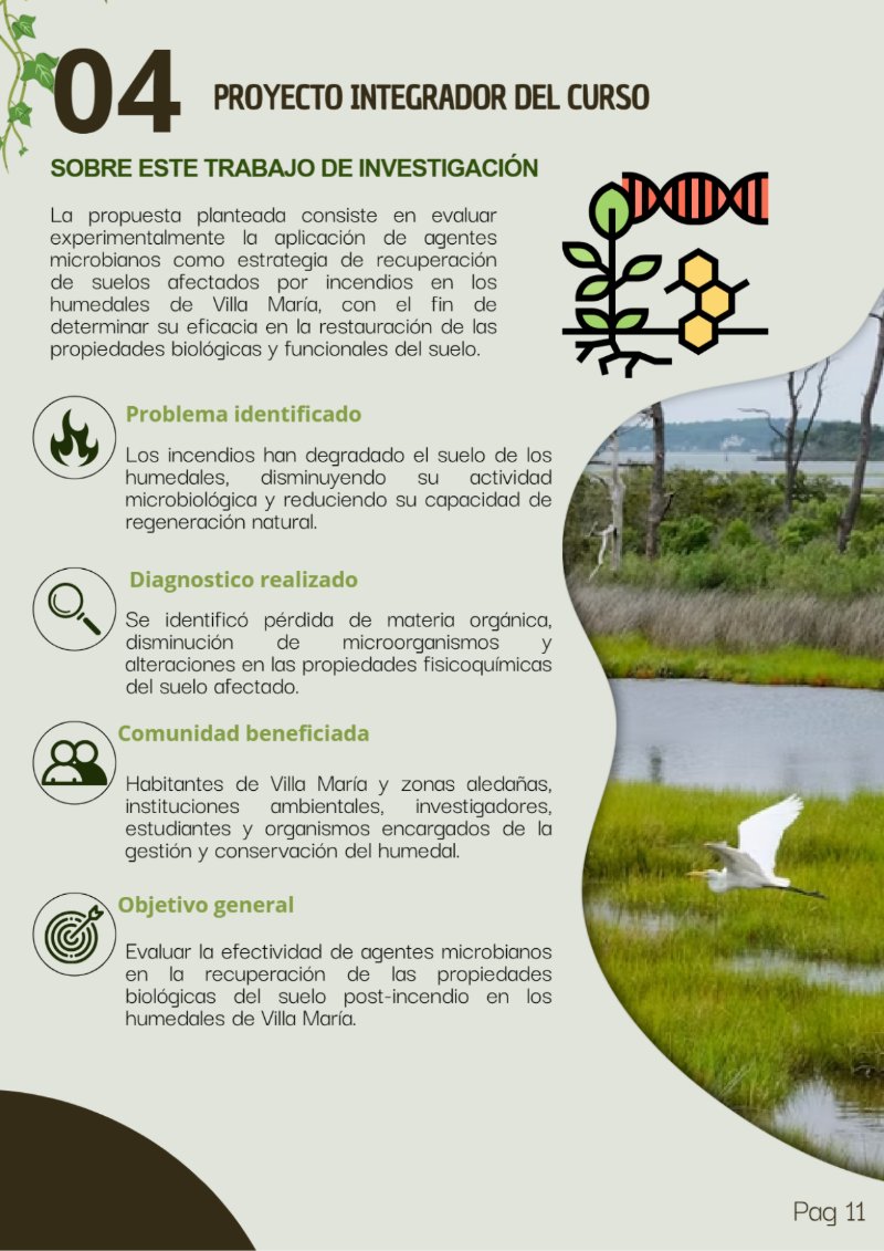 REVISTA DEL LOS HUMEDALES — page 13