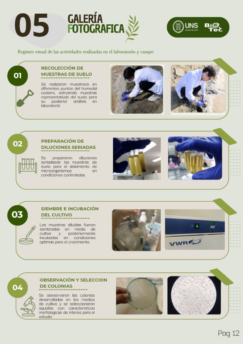 REVISTA DEL LOS HUMEDALES — page 14