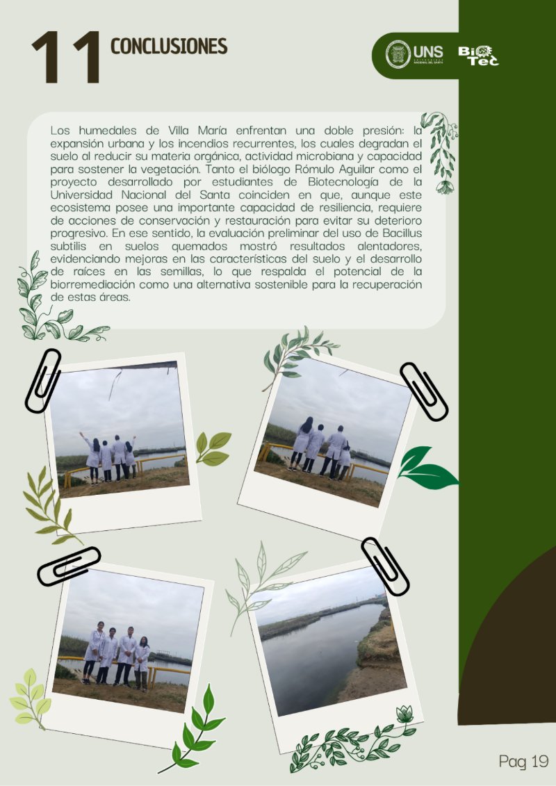 REVISTA DEL LOS HUMEDALES — page 21