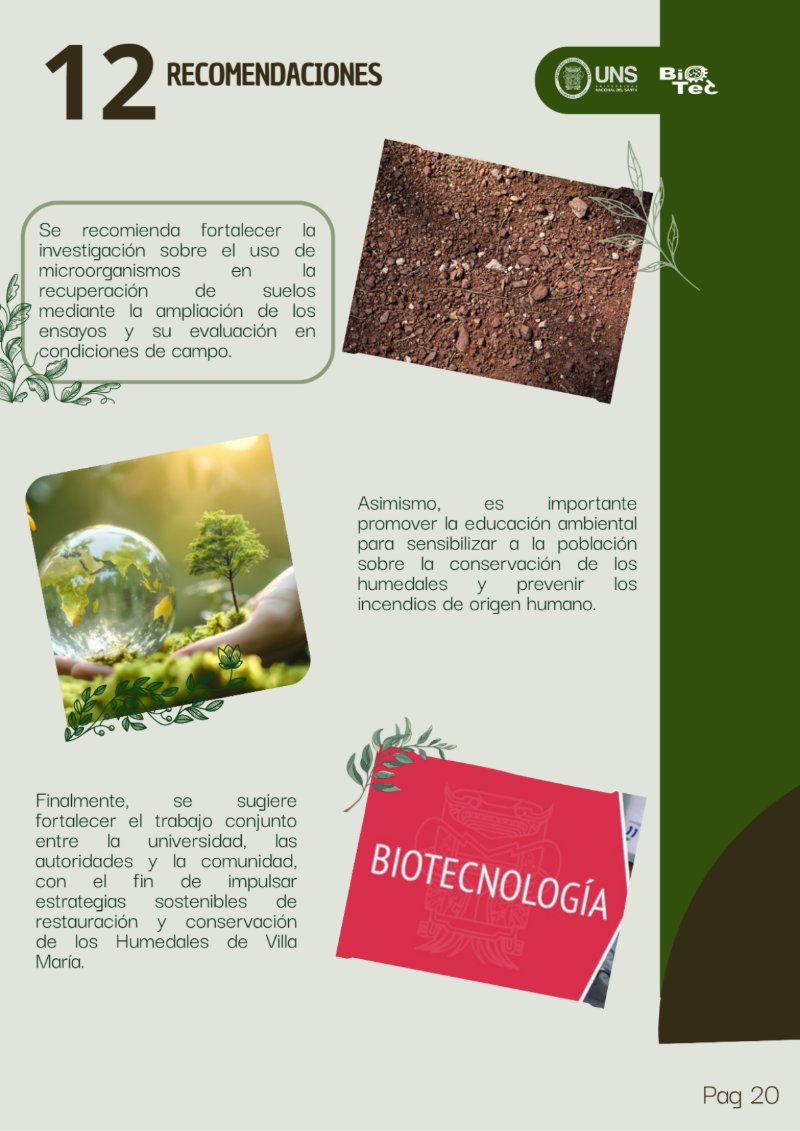 REVISTA DEL LOS HUMEDALES — page 22