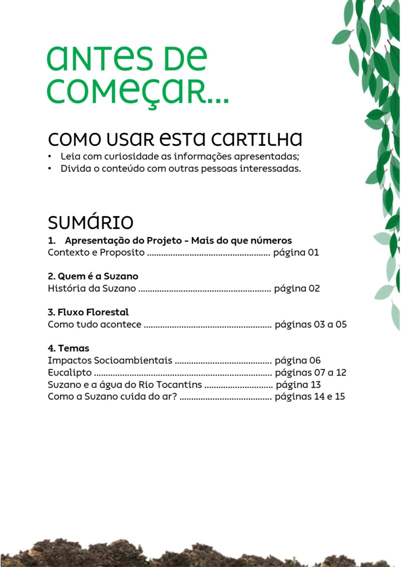 Suzano: Verdades que Importam — page 2