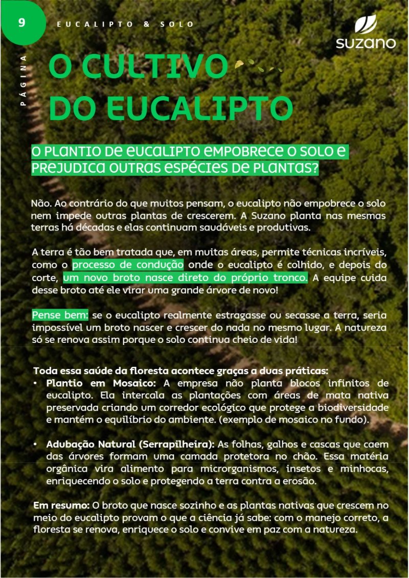 Suzano: Verdades que Importam — page 11