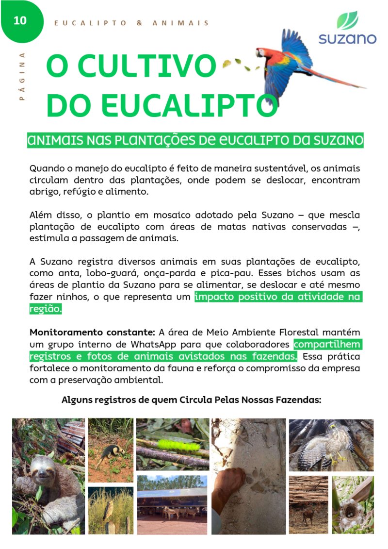 Suzano: Verdades que Importam — page 12