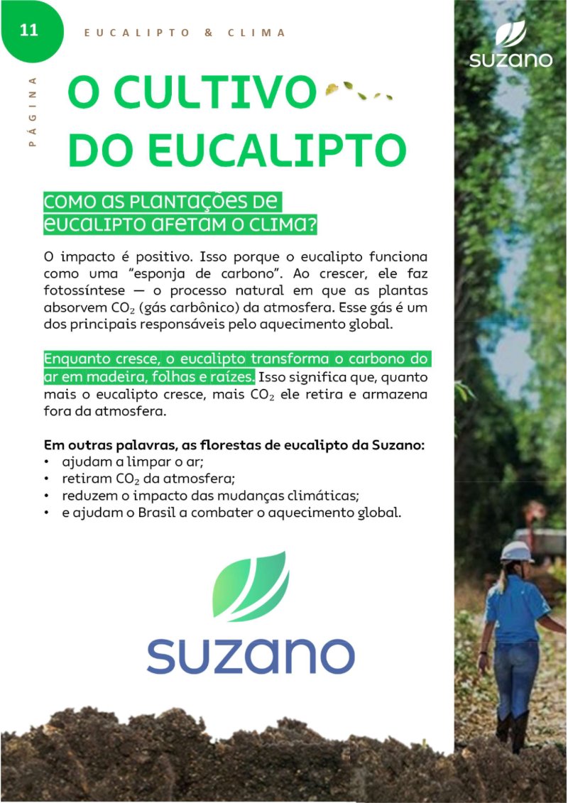 Suzano: Verdades que Importam — page 13