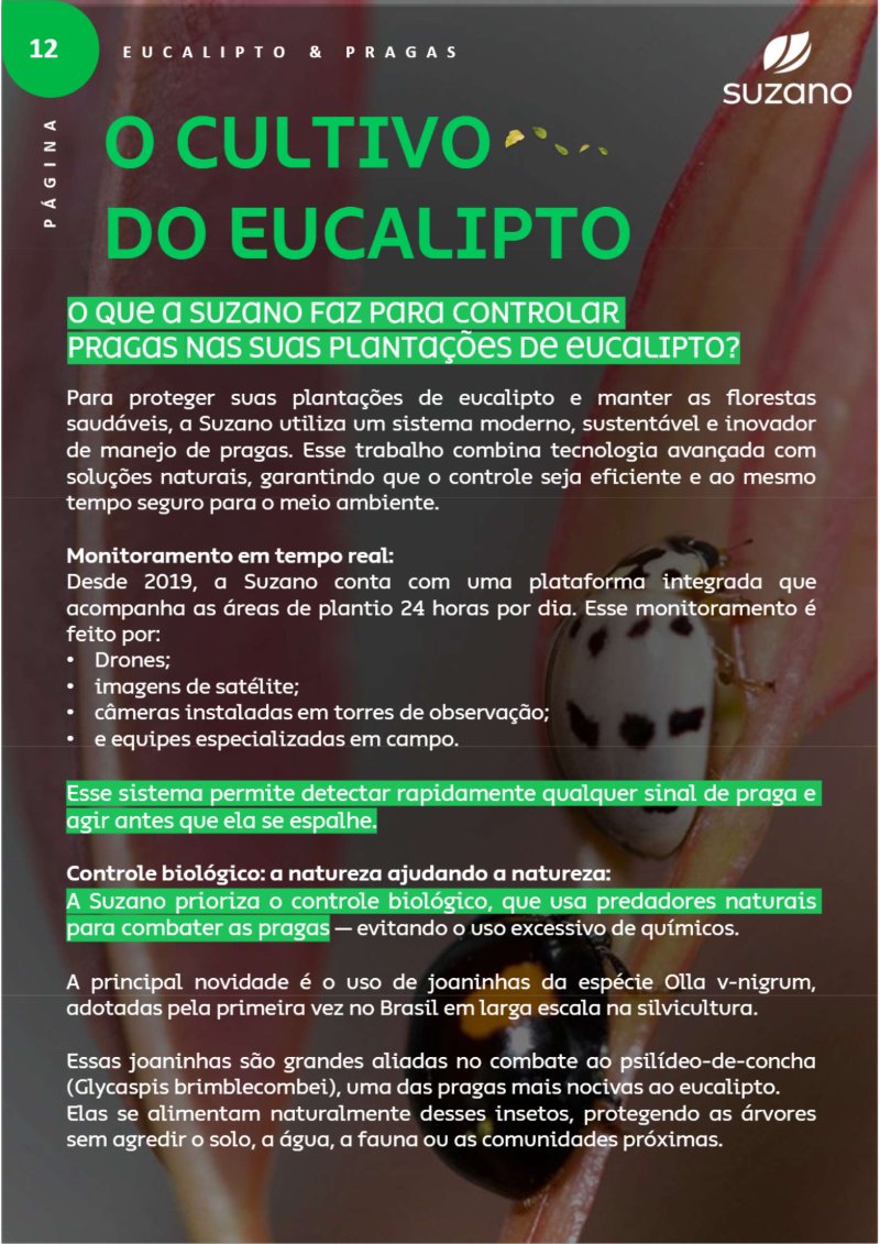 Suzano: Verdades que Importam — page 14