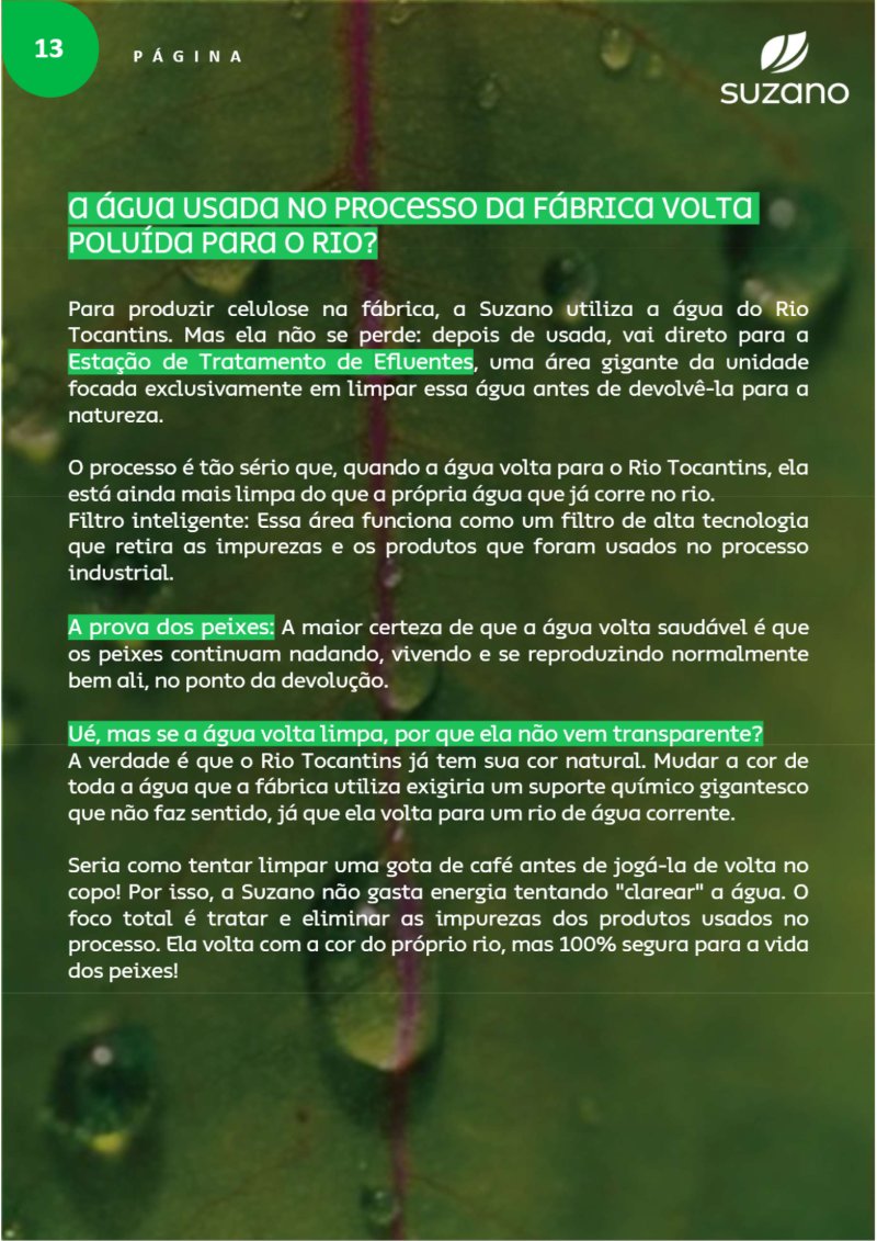Suzano: Verdades que Importam — page 15